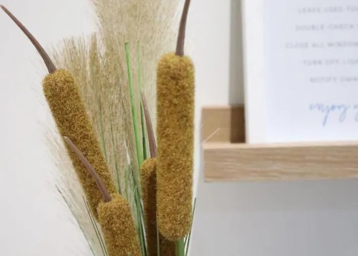 Lejlighed Wardija Maisonette